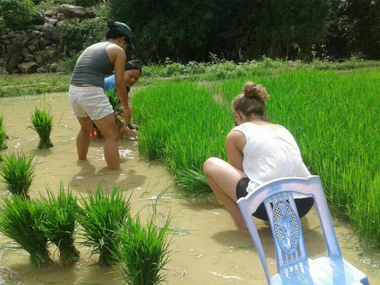 Yen Nhi Homestay Ban Gioc كاو بانغ المظهر الخارجي الصورة